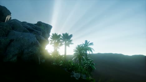 Mountain-and-Field-Landscape-with-Palms