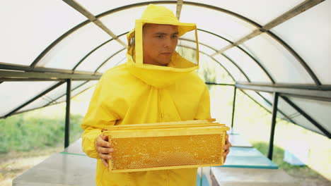 beekeeper inspecting honeycomb frames