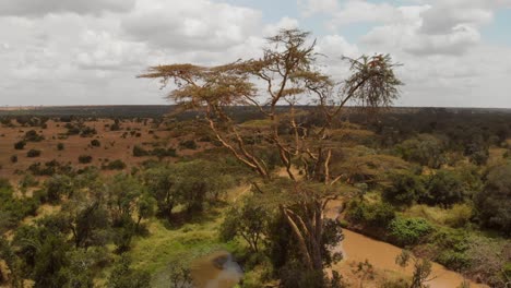 Paisaje-Seco-En-Kenia.-Toma-Aérea-Reveladora