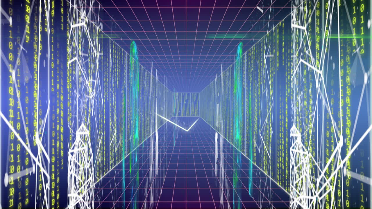 바이너리 코딩의 애니메이션과 연결 네트워크를 통한 데이터 처리