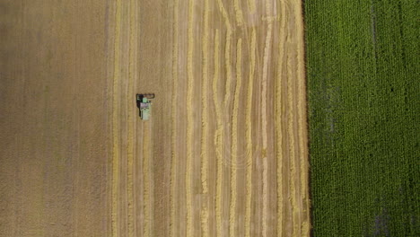 Harvester-working-on-a-wheat-field,-harvesting-cereal,-farming-season-in-Europe