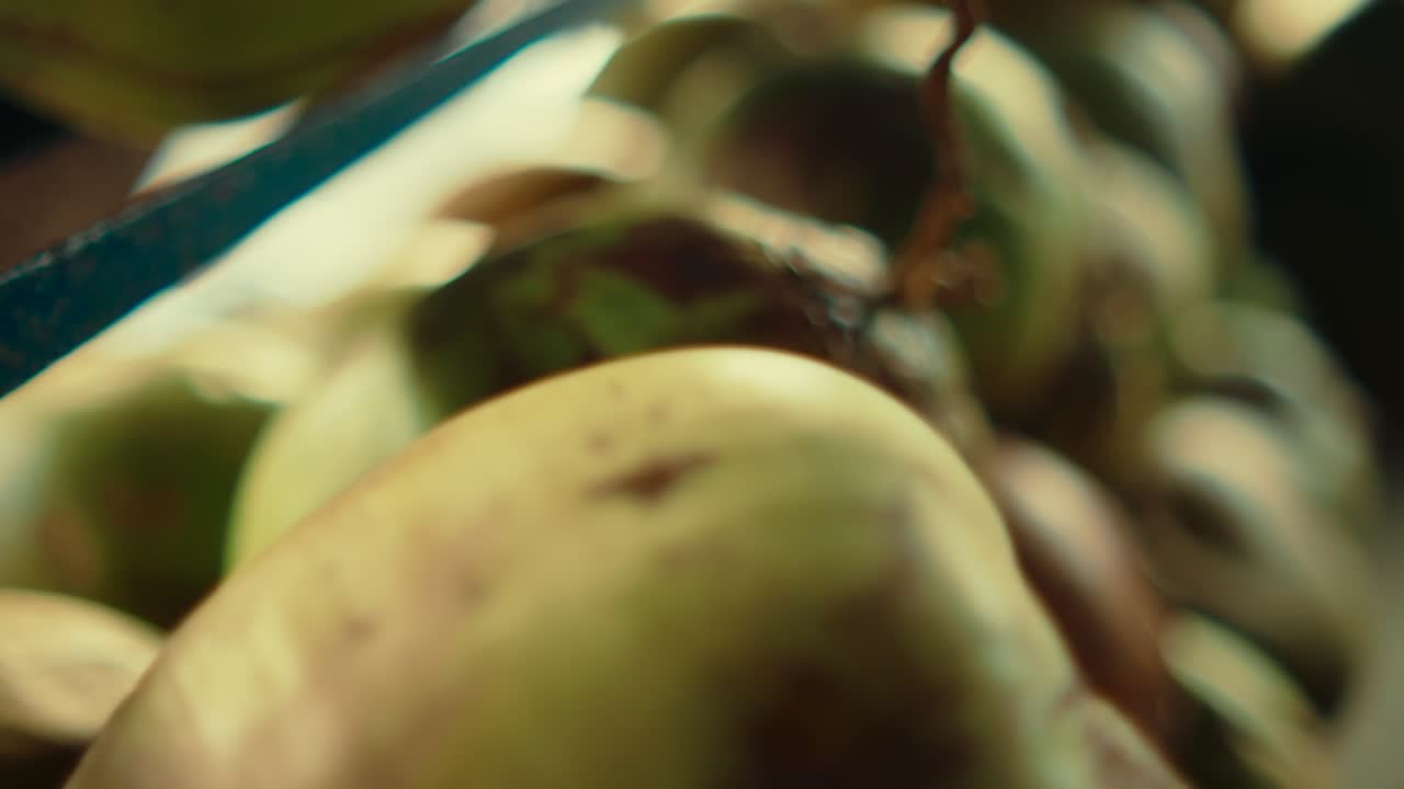 Campo lungo che rivela un gruppo di noci di cocco fresche, mettendo in risalto la texture naturale, il cibo tropicale e i prodotti biologici