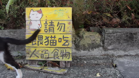 a cat walks past a cute illustrated signboard, houtong cat village