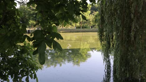 peekaboo view of fishing pond through leaves, branches at outdoor event venue