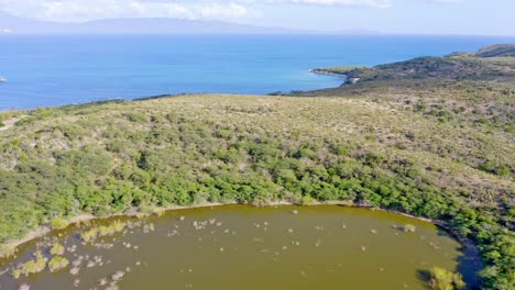 Magnificent-Scenery-Of-Lush-Green-Forest-and-Blue-Sea-In-Los-Manglares,-Azua,-Dominican-Republic---aerial-shot