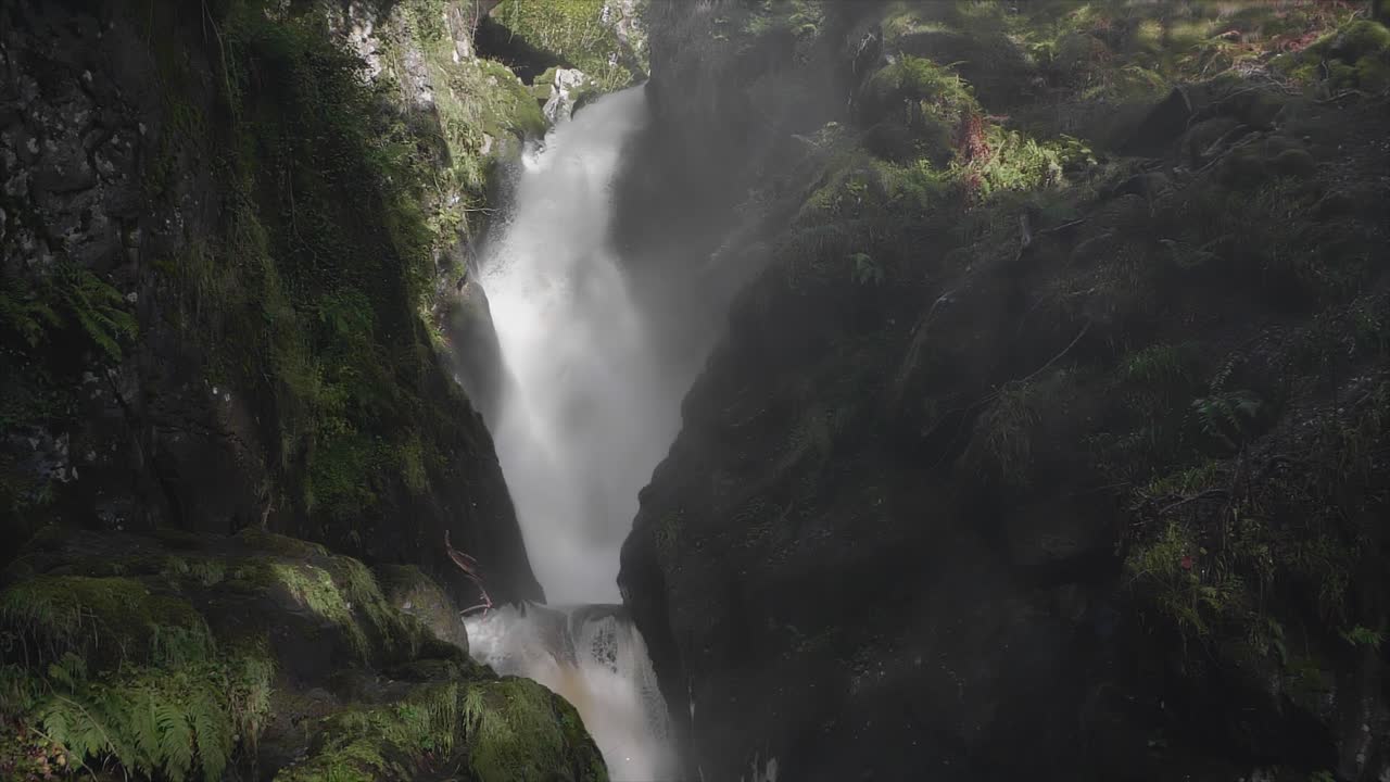 Beautiful mirrorless DSLR shot of Aira Falls waterfall under the canopy ...