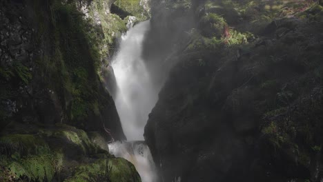 beautiful mirrorless dslr shot of aira falls waterfall under the canopy of the trees in the lake district