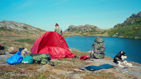 man and his alaskan malamute dog camping near a lake in indre fosen, norway - wide shot