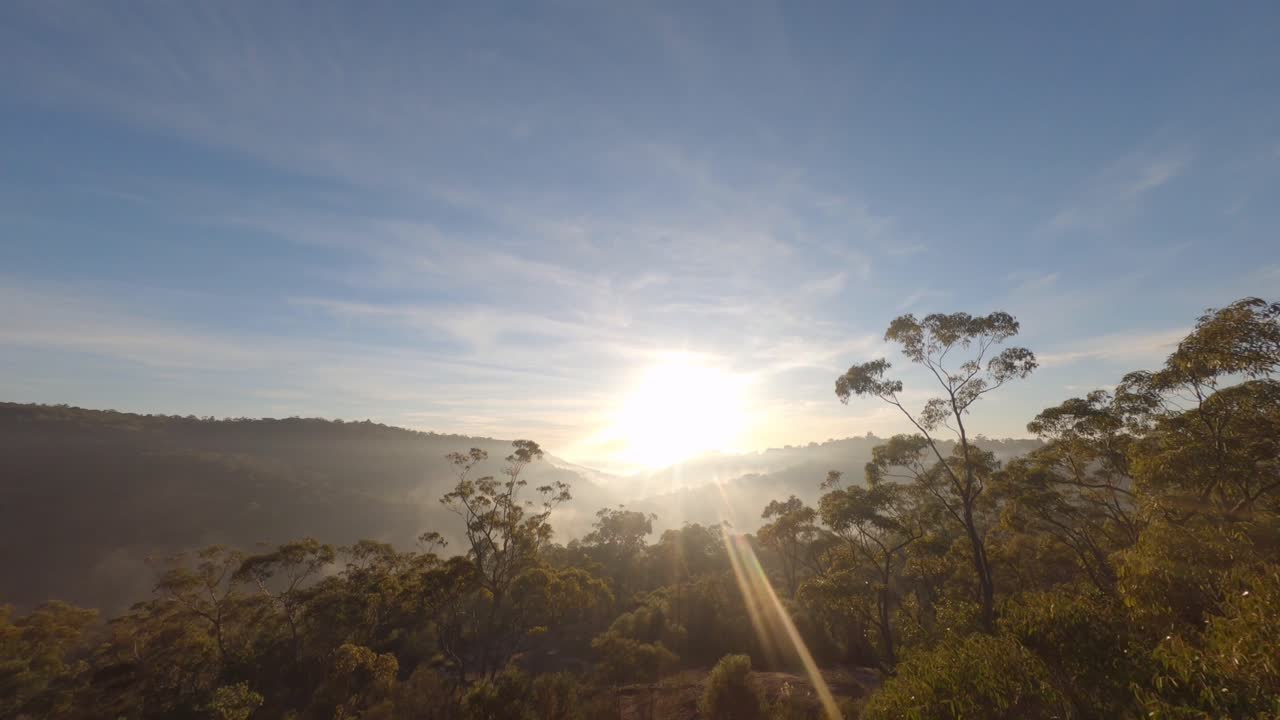 Early Morning Sunlight - Forest Hill Cine Flight