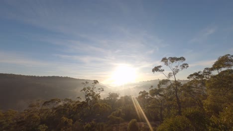 early morning sunlight - forest hill cine flight