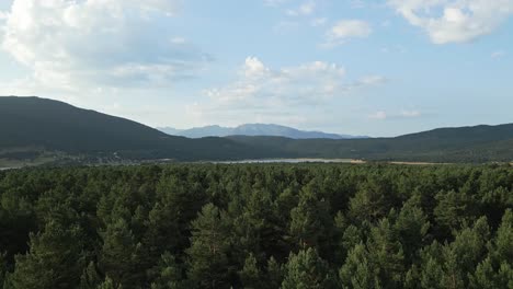 captivating landscape showcasing a mountain lake nestled behind a dense pine forest, with a smooth camera flying forward revealing the serene beauty of nature and the vibrant colors of summer
