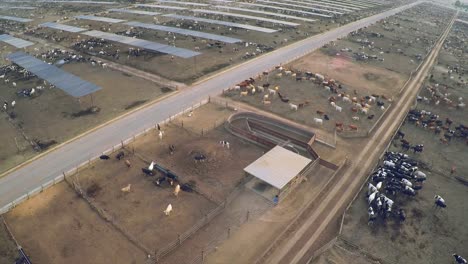 aerial over the pens at a cattle ranch and slaughterhouse in central california 2