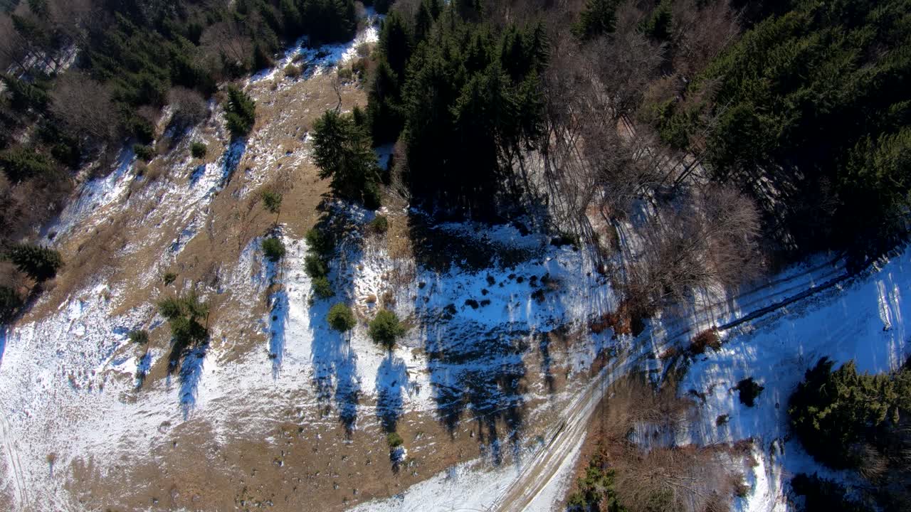 Drone footage above the forest. Beautiful Landscape