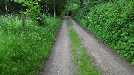 Walking-on-the-forest-road