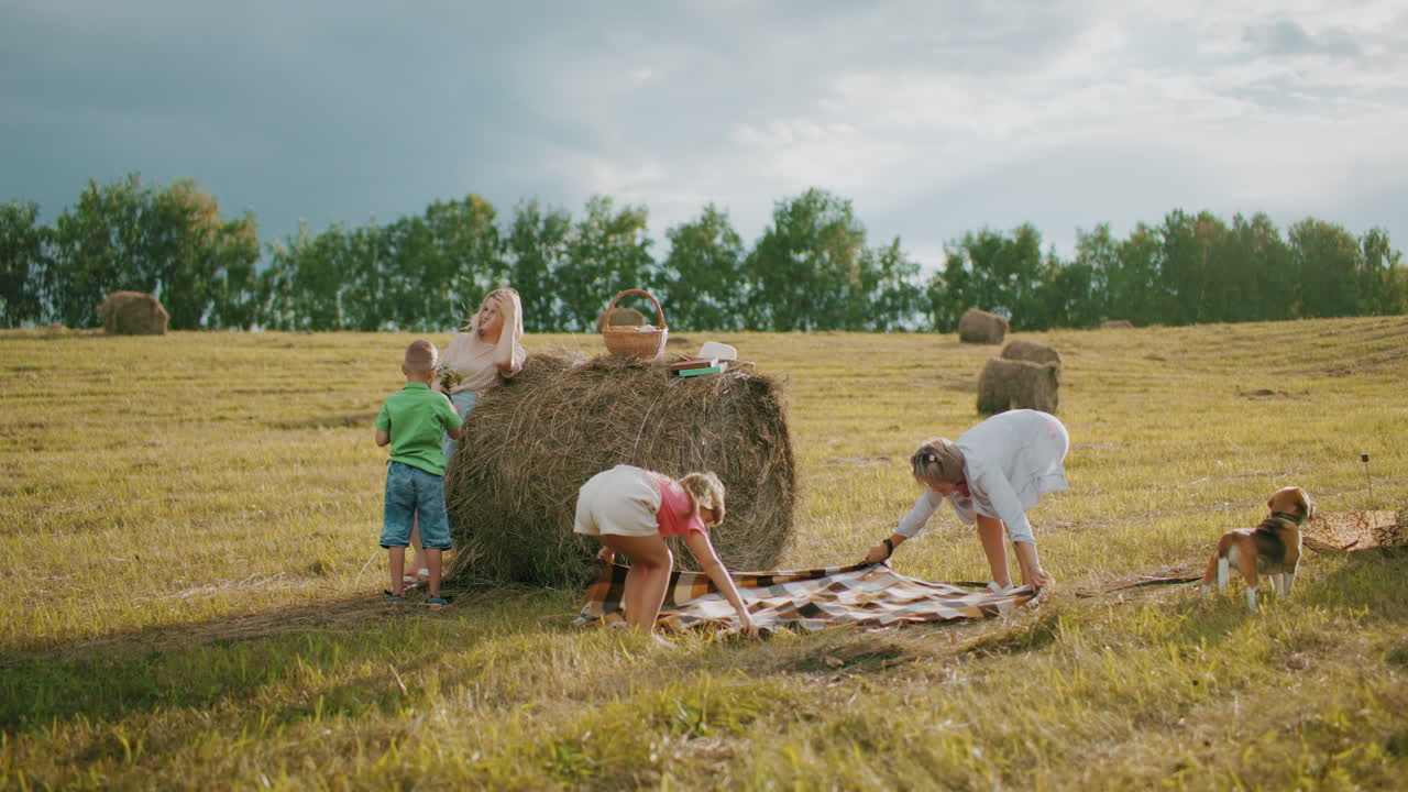 Familien nyder udendørs sjov på en åben mark med picnic, legende børn og en glad hund. Sollyset skaber en varm atmosfære, mens de kære knytter bånd og breder tæpper ud.