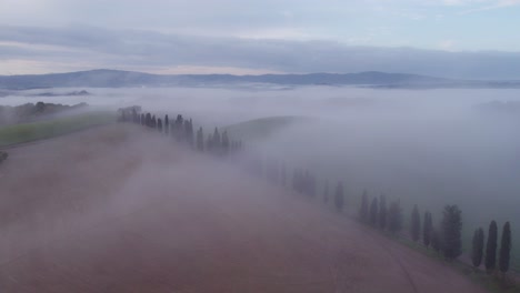 cypress tree road in rural tuscany with magical morning mist over rolling hills