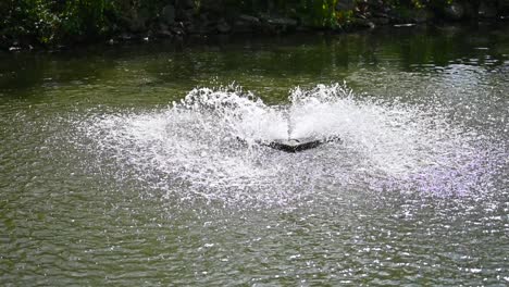 beautiful water fountain in america