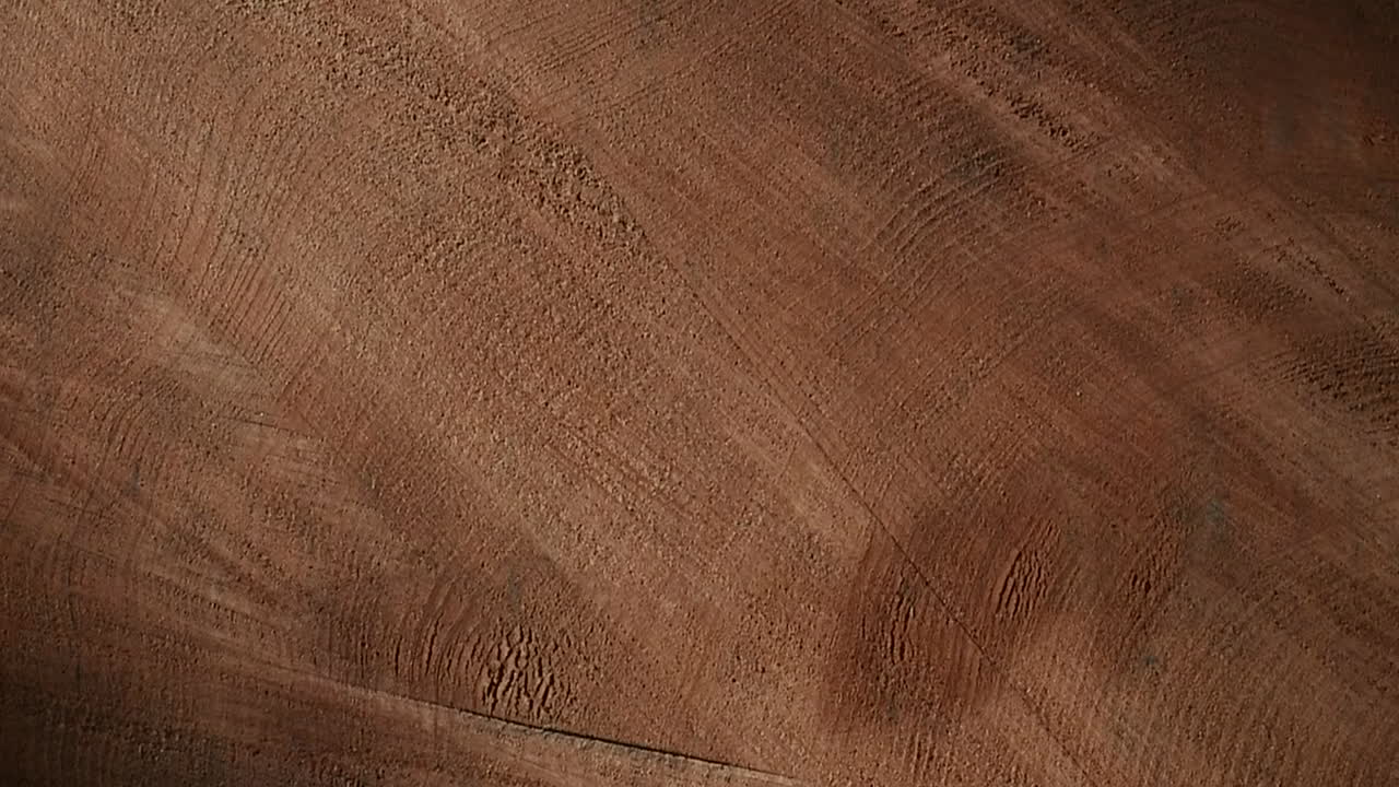 숲에서 쓰러진 나무의 나이테