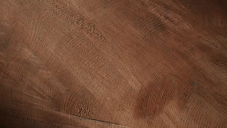 tree rings of a fallen tree in the forest