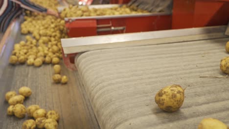 potato sorting and storage facility.