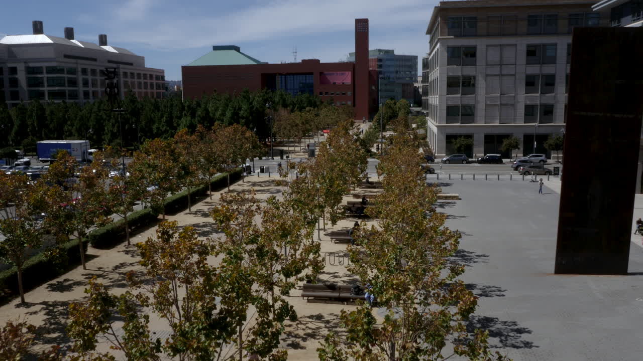 An urban park with trees and buildings in a city