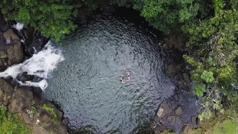 A-couple-enjoying-their-time-together-alone-in-a-lush-and-majestic-jungle-swimming-hole-Ginger-Pong-on-Nu'uanu-Trail-in-Honolulu-Hawaii,-AERIAL-TOP-DOWN-LOWER