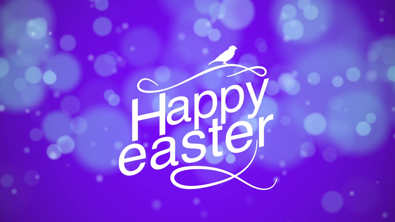 Buona Pasqua con bokeh viola fluttuante e uccello.