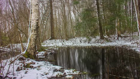 Winter--Bis-Frühlingswaldlandschaft-Verwandelt-Sich-In-Zeitrafferansicht