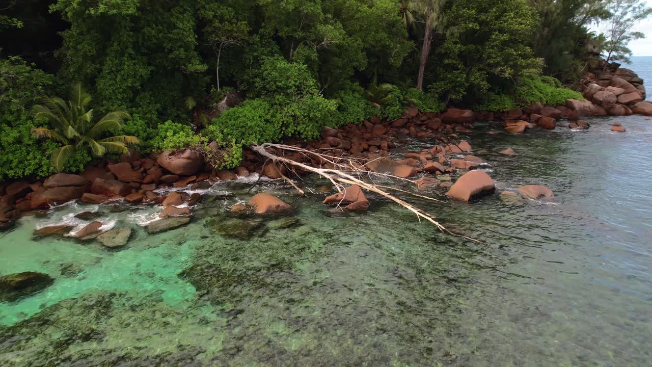 Dron rotando cerca de un árbol caído, piedras de granito y árboles cerca de la orilla, Baie Lazare, Mahe, Seychelles 30fps