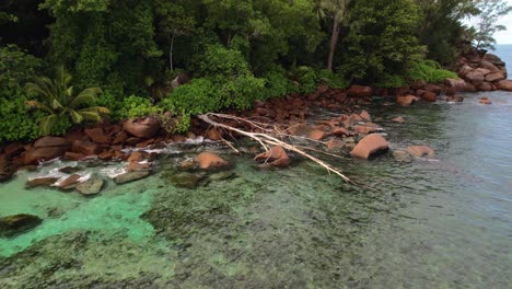 Drone-rotate-near-fallen-tree,-granite-stones-and-trees-near-the-shore,-Baie-Lazare,-Mahe,Seychelles-30fps