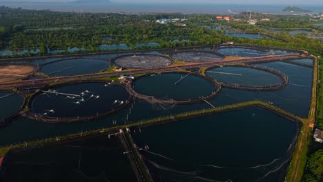 aerial view of a fish farm with circular ponds