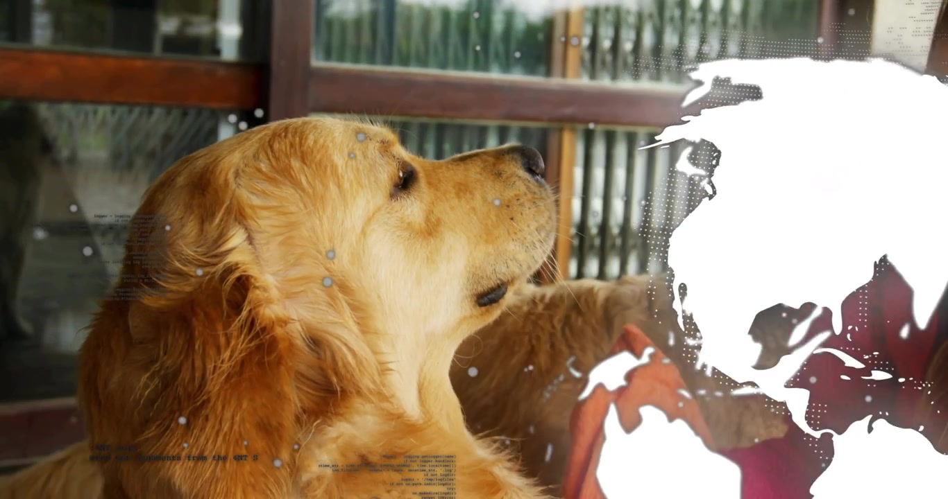 女性が手を伸ばし、オレンジ色のブランケットを整え、ポーチで犬をなだめている。その間、地球儀が女性を覆い隠し、ペットテックの要素が加わる。