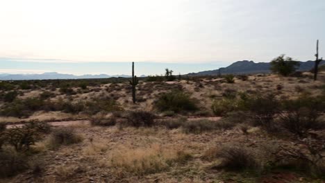 pan of phoenix valley desert