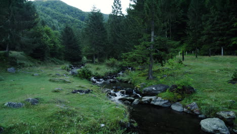 Vista-Aérea-Del-Arroyo-De-Montaña-Que-Pasa-Por-Un-Bosque-De-Abetos-Y-Un-Prado-Con-Rocas-Y-Hierba-Verde