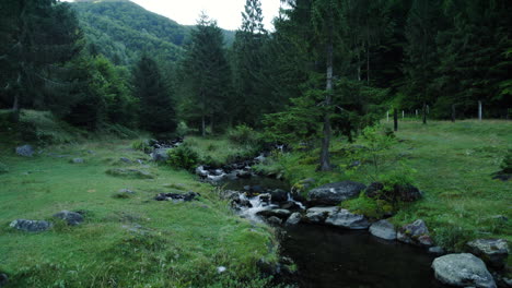 aerial view of the mountain stream passing through a fir forest and a meadow with rocks and green grass