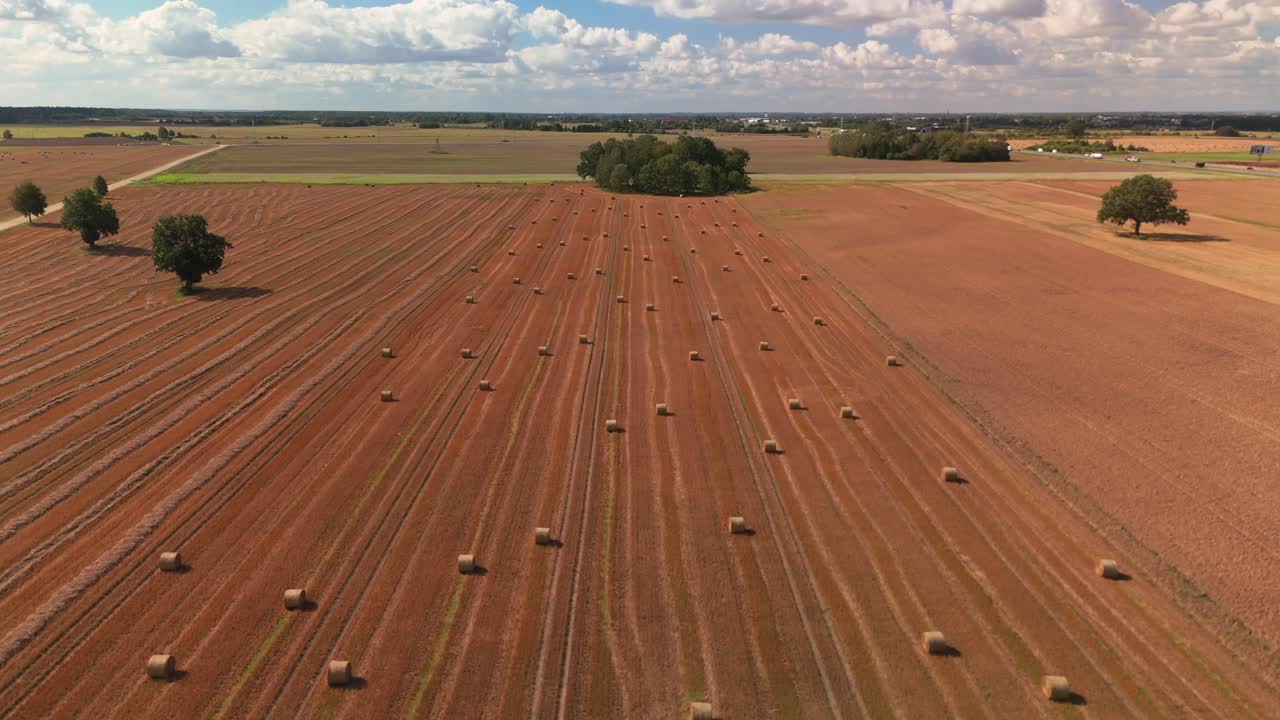 Luftansicht von Heubalen auf einem Feld
