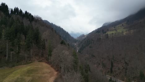 Grasbewachsene-Wiese-Am-Hang-Gegen-Den-Rand-Des-Waldes-Baumkronen-Im-Winter-Und-Kurvenreiche-Bergstraße-Am-Fuße-Des-Tals