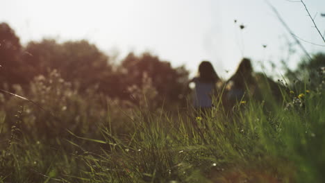 girls playing in a field at sunset