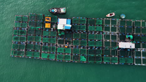 Aerial-birdseye-circling-and-approaching-fishing-farms-on-coast-of-Vietnam