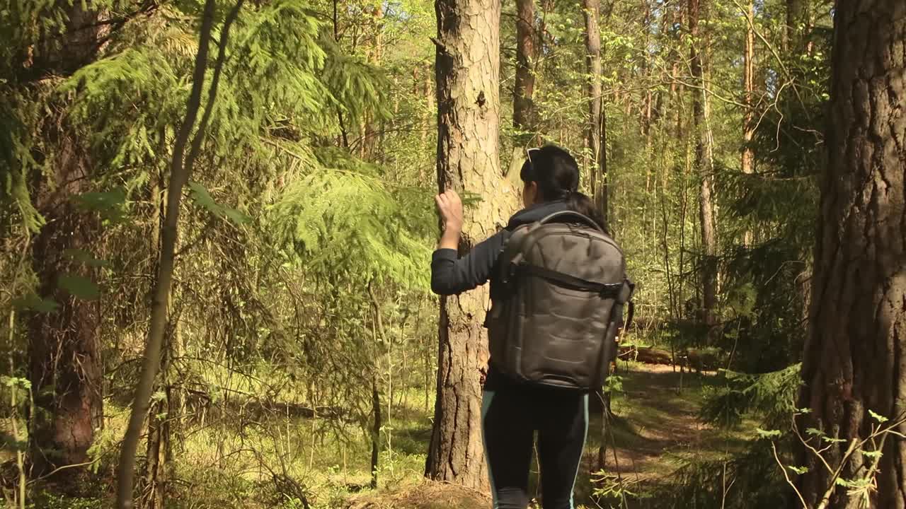 Hiking woman walk with a hiking backpack in spring green forest