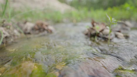 water flowing in the river