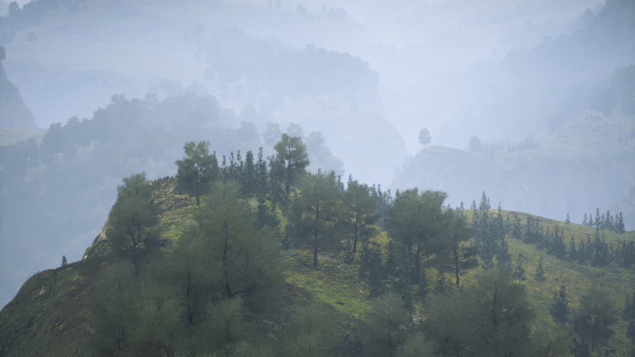 Mist covers green hills and forests in a serene landscape at dawn in nature