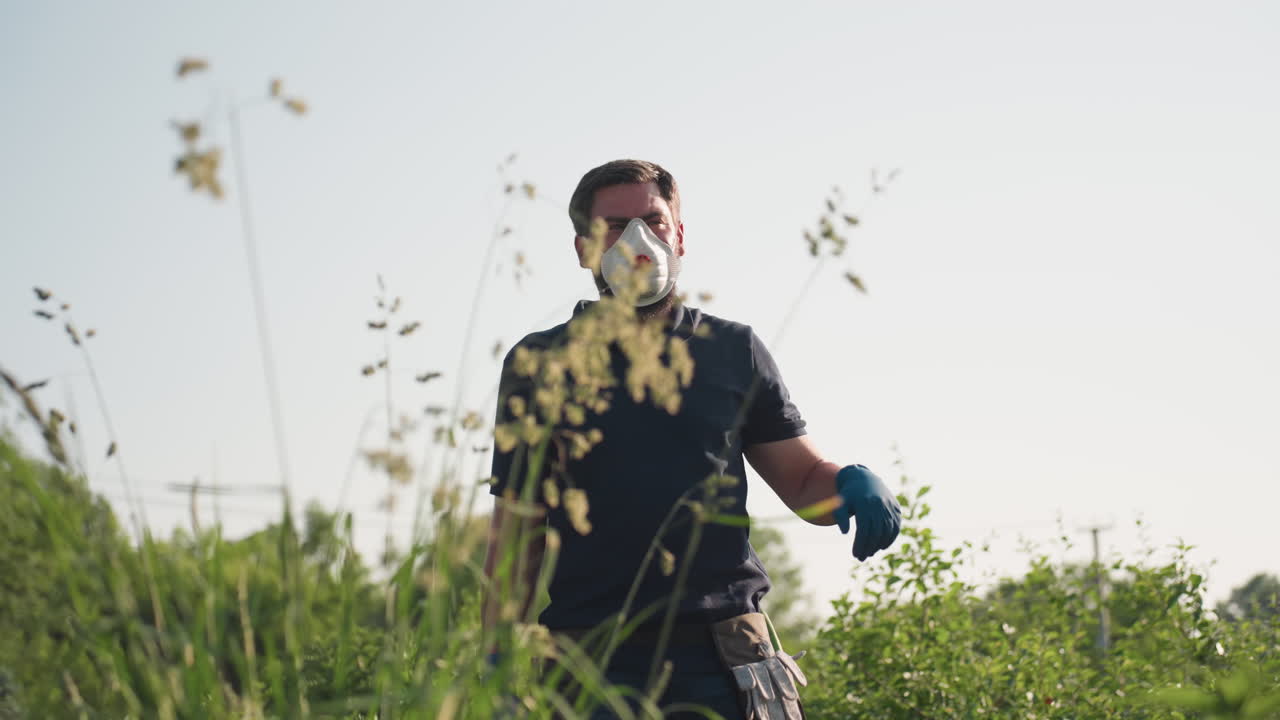 Gardener wearing protective mask and blue gloves wipes sweat from forehead while gazing into distance under bright sky, surrounded by tall green grass in summer farm environment