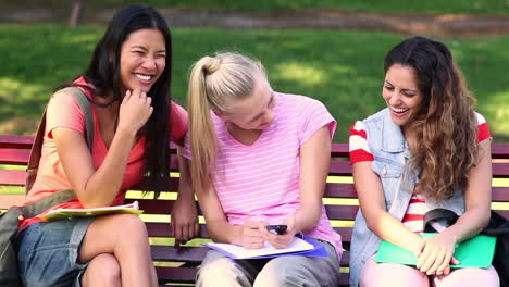 students chatting together outside on a bench