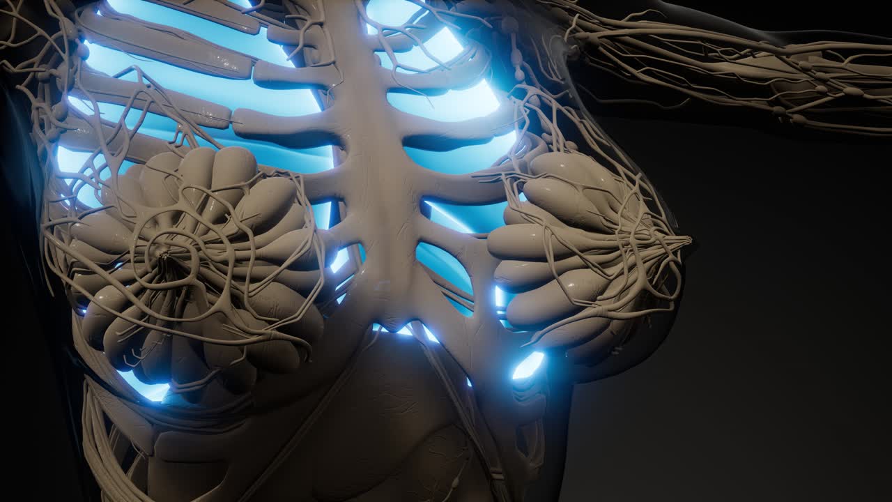 인간의 폐 방사선 검사