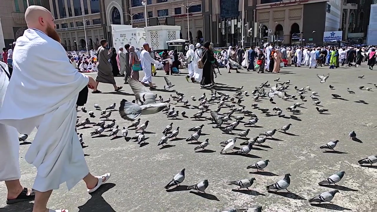 Pilgrims Walking Near Masjid al-Haram with Pigeons in Mecca