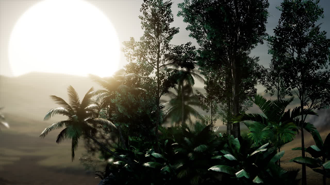 palmeras de coco paisaje tropical