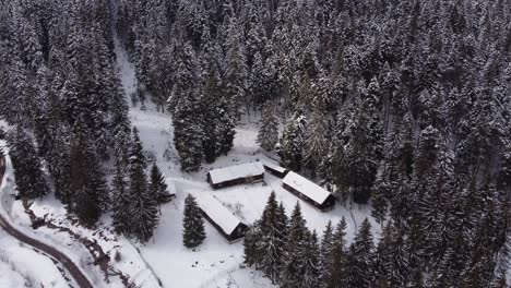 imágenes aéreas de carreteras de montaña y pinos cubiertos de nieve