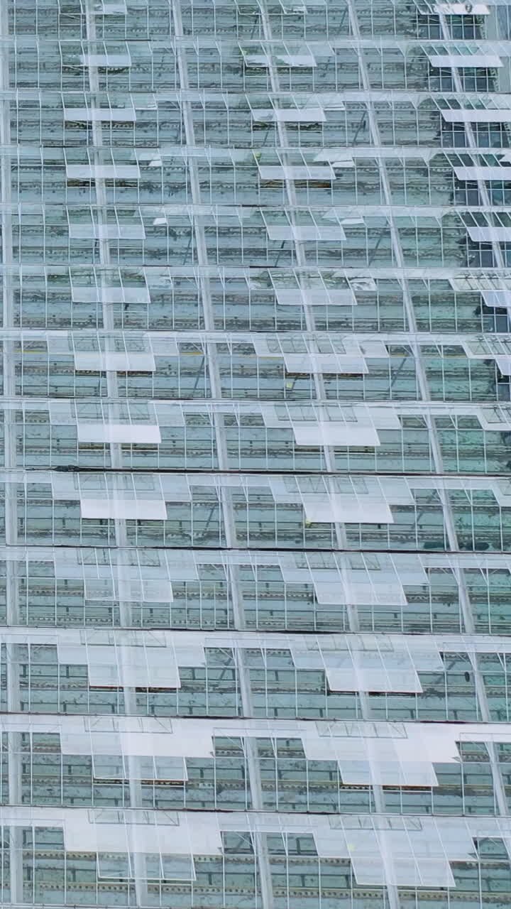 Strutture finestrate di serre con finestre a vasistas aperte per la ventilazione. Vista aerea dell'edificio in vetro. Video verticale