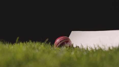 Studio-Cricket-Still-Life-With-Close-Up-Of-Bat-And-Ball-Lying-In-Grass-2